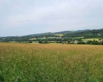 Wanderung_220619_10