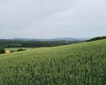 Wanderung_220619_11