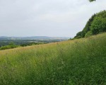 Wanderung_220619_12